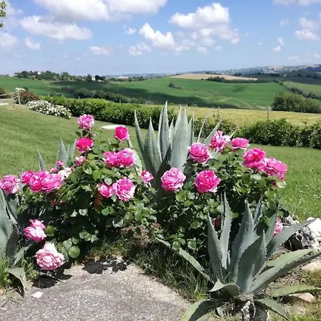 Bed & Breakfast Casa Cante La Garbatina